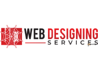Website Design and Development in Pakistan
