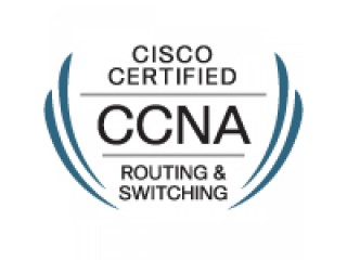 New CCNA 200-301 (Online Training)