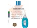 hand-sanitizer-germ-free-hands-small-1
