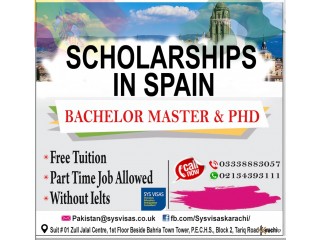Scholarships In Spain 2020